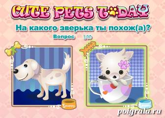 Картинка к игре Тест какое ты животное
